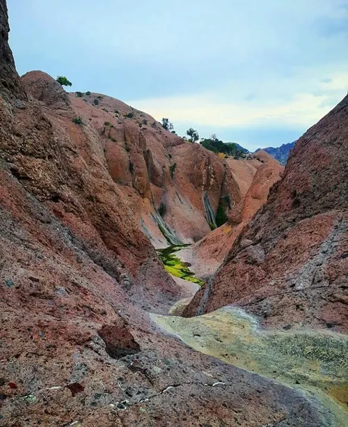 شهرمن شهر زیبای بم