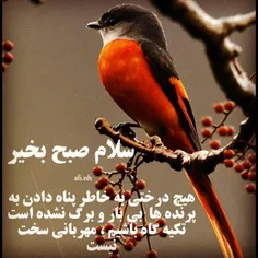 عکس نوشته ali999999 24127629