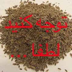 بدون مقدمه باید بگم که (تخم شوید)فقط و فقط با دستور مصرف 