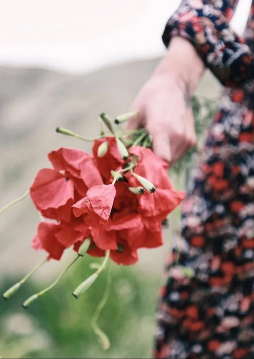 با خود می اندیشم و تحلیل می شوم در سیاهی و هاله ای از سوا