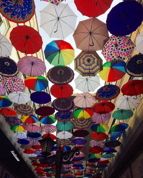 سقف از چتر شیراز