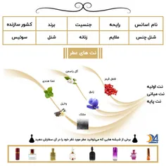 عطر شنل چنس اعلا 