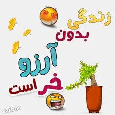 آرزو