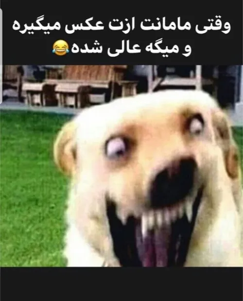 سلامتی همه مادرا 😂😍😂😂😂😂