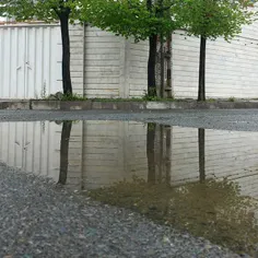 #dailytehran #reflection #trees #city #rainy #spring #teh