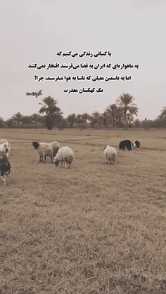 با کسانی زندگی میکنیم که به ماهواره ای که ایران به فضا می