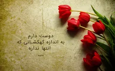 #گل لاله با متن زیبای عاشقانه