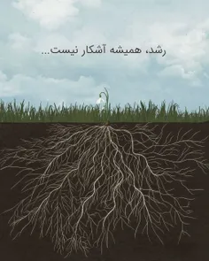 🍀رشد همیشه آشکار نیست