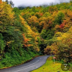 طبیعت زیبای دیلمان در گیلان