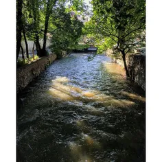 Canal | 4 May '16 | iPhone 6s | #aroundtehran #everydayir