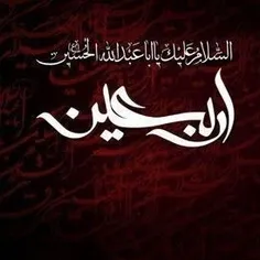 ◾اَلسَّلامُ عَلَیْکَ یا اَبا عَبْدِاللّهِ وَ عَلَى الاَْر