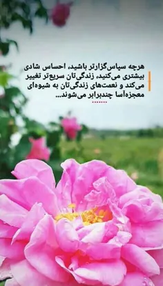 عکس نوشته yaallah1372 32438072