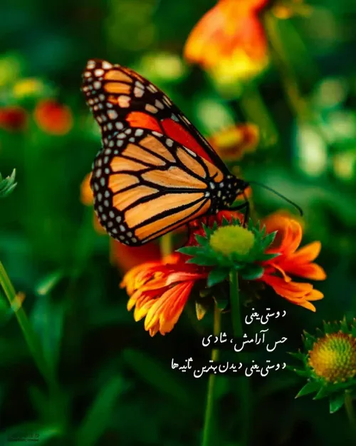 احساس تنهایی