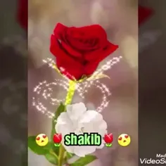 ، 💕ســـــــلام💕