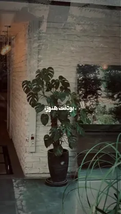 امشب به همه شب بخیر گفتم در حالی ک نمیدونن این...