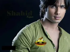 shahid kapoor