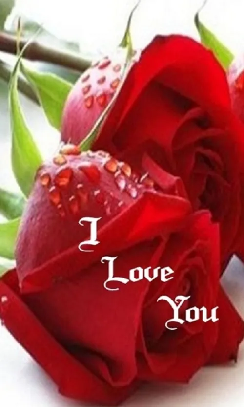 I LU