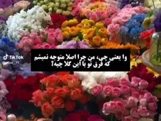 متوجه نمیشم...؟ فرق شما با اینا چیه💞🥺