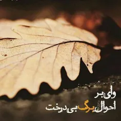 راهی جز سقوط ندارد ...