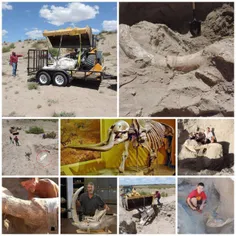 پسری 10 ساله آمریکایی در ایالت نیومکزیکو حین بازی در صحرا