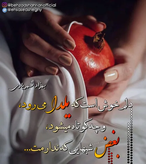 بهزادشهریاری🌹