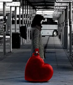 گوناگون niloufarane 44385