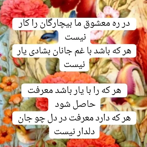  nimataban62 51445072 - عکس ویسگون