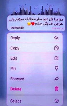 ولی.....
هرچی تو بگی چمش😌✌🏻♥️