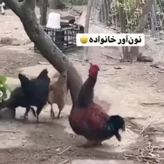 نون آور خانواده به این میگن 😀