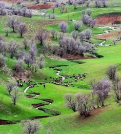 *♦️روستای سرمرغ؛ خرم آباد؛ لرستان*