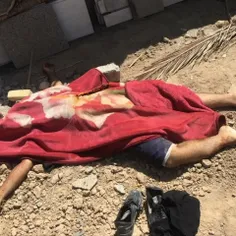 شرور مسلح و عامل مجروح کردن ۳ پلیس فیروزآباد به هلاکت رسی