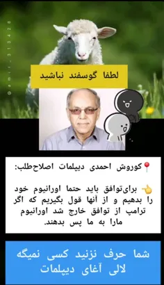 ramz_shab007 74148580