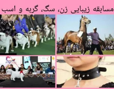 مسابقه زیبایی زن، سگ، گربه و اسب😠😠