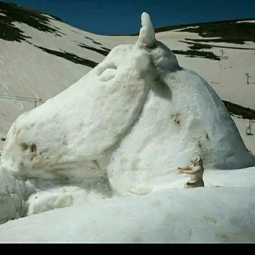 هنرنمایی با مجسمه های برفی در پیست اسکی توچال تهران