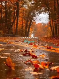 هرکسی را سر چیزی 