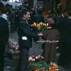 تنهٔ درختی شدم که برات قطع شد تا مقابلِ شومینه بشینی و خی