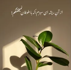 🔴زنی که حجاب رو قبول نداره 