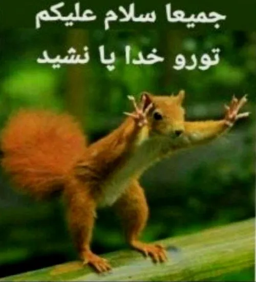 😂 درود روزتون بخیر🙋‍♀️🙋‍♂️