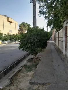 بچه ها دارم میرم کلاس ریاضی🏫