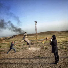 Girl taking pictures of a horse while lunging in a horse 