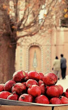 #پاییز را بدنام کرده اند! یک جای زندگیشان که لنگ باشد، گر