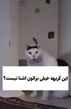 بچم هرچی ترند میشه رو انجام میده🤣🤣🤣