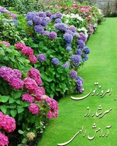 آرزو می کنم