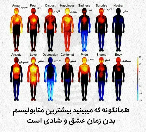 نقشه حالات عاطفی درونی ما! متابولیسم بدن در حالتهای مختلف