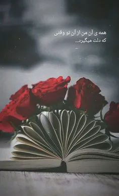 عاشقانه ها f_heydari 23297673