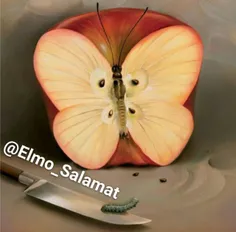 🍎 پاسخ تست مربوط به تصویر سیب🍏 