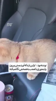 💓وای نههههههههه💓