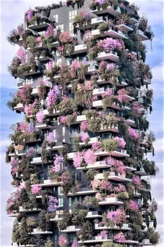 🌏ساختمان Bosco Verticale در میلان٬ ایتالیا 