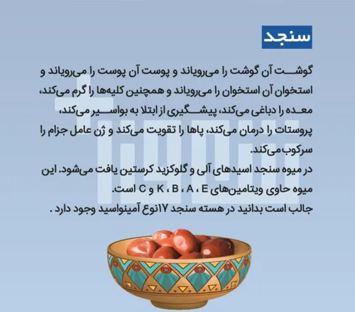 سنجد باعث جمع شدن و استحکام اسفنکتر (دریچه) خروجی مثانه م