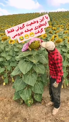 نظرتون چیه🤔